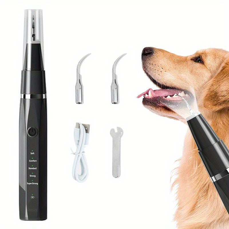 PET GROOMING
