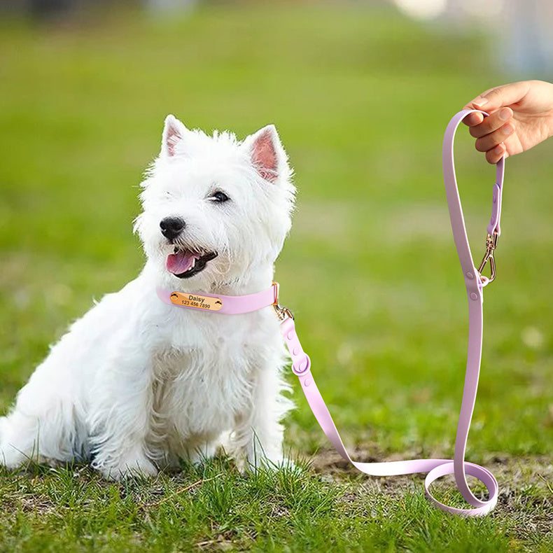 Adjustable Dog Collar & Leash Combo for Medium Breeds